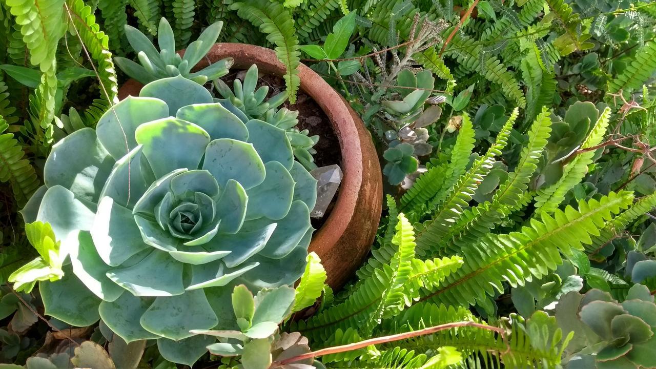 Pousada Refazenda - Milho Verde Eksteriør bilde